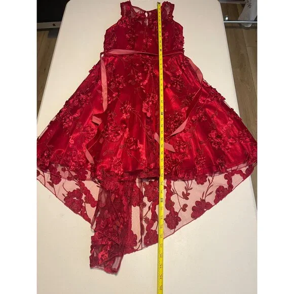 Rare Editions Big Girls Floral Soutache High-Low Social Dress, Size 14